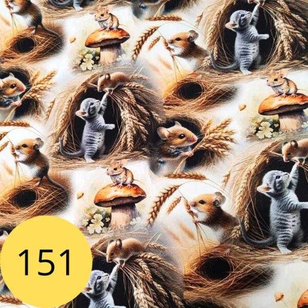 kassid-hiired-kangamuster-151