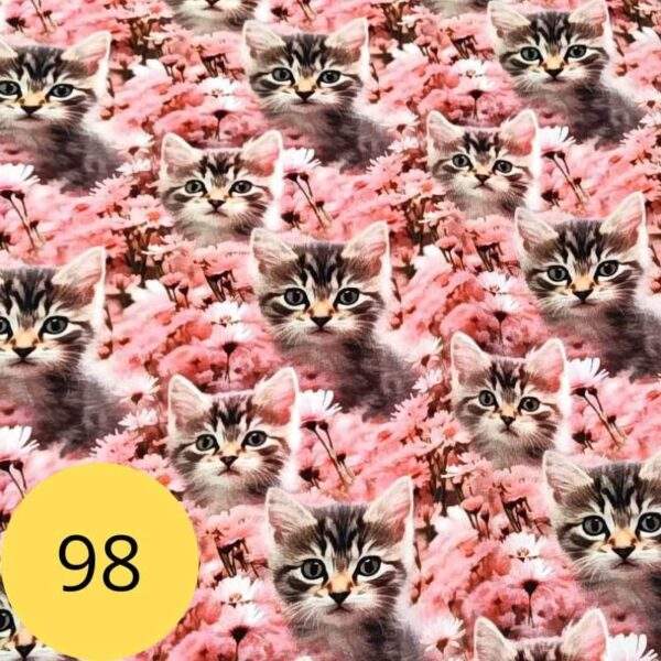 kassid-karikakrad-kangamuster-98