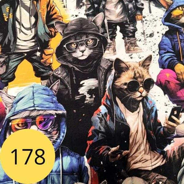 kassid-riietes-kangamuster-178