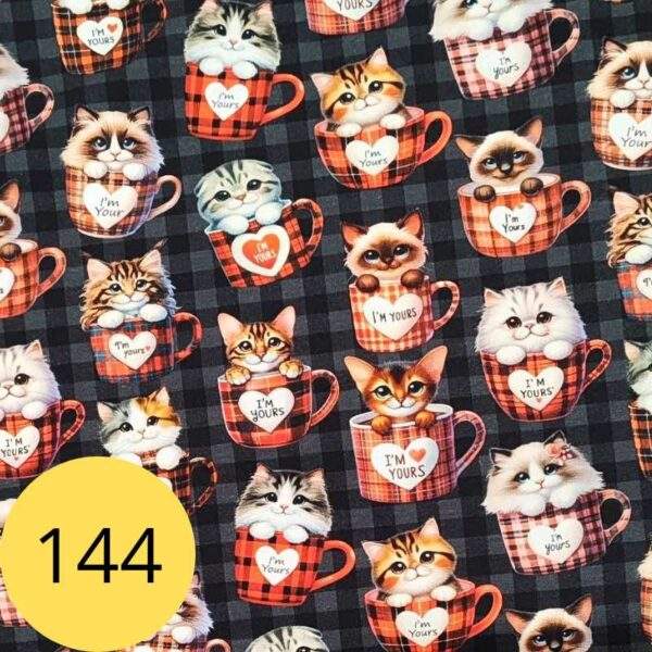 kassid-hiired-kangamuster-151