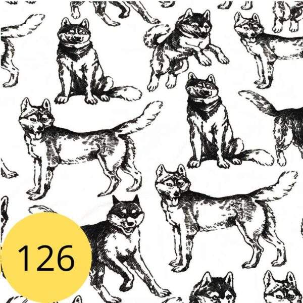 koerad-valgel-kangamuster-126