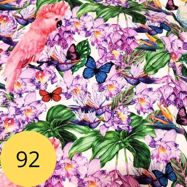 roosa-papagoi-kangamuster-92