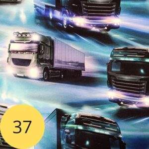 veoautod-kangamuster-37.jpg