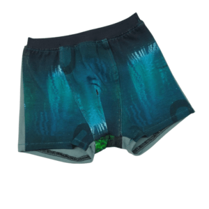 Poiste boxerid suurus 92/98