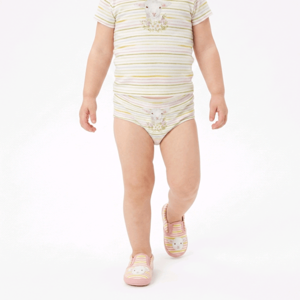 BOXERID SUURUS 104/110