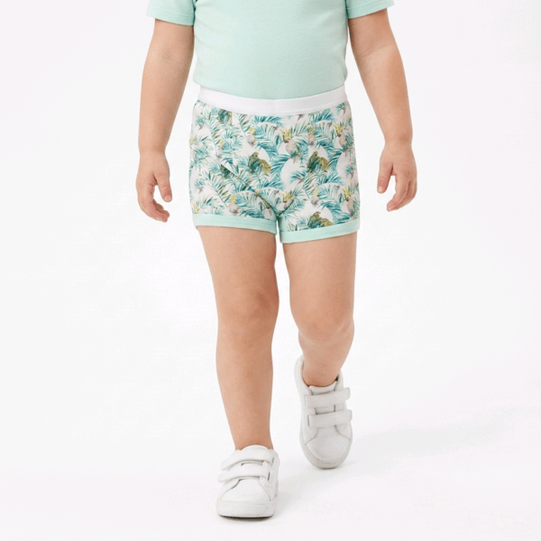 BOXERID SUURUS 92