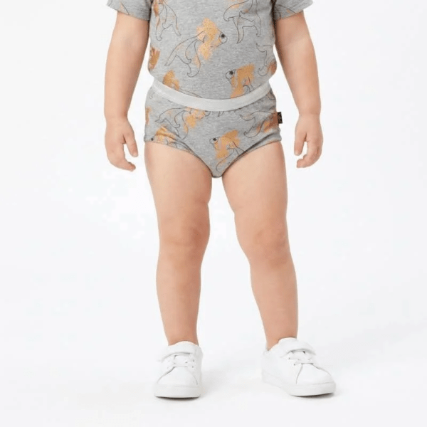 BOXERID SUURUS 92/98