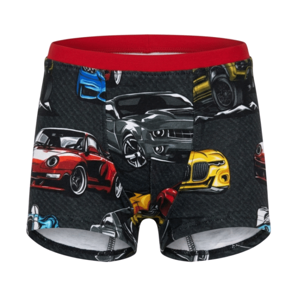 BOXERID SUURUS 104/110